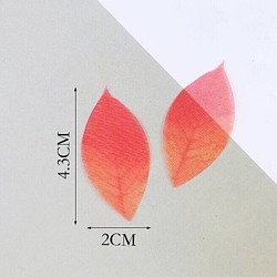 「5個セット 紅葉」20×43mm  オーガンジー 小 1枚目の画像