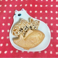 にゃんこ菓子皿 白猫ミルキー 1枚目の画像