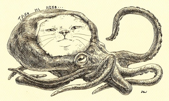 猫と蛸のペン画【たこにねこ】 1枚目の画像