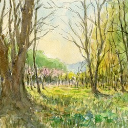 水彩画原画　安曇野の春・居谷里湿原 1枚目の画像