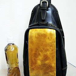 Real leather daypack/Oiled leather 第1張的照片