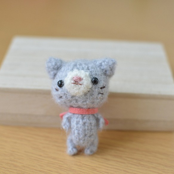 灰貓小阿米古魯米 第1張的照片