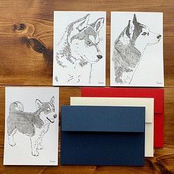 カード＆封筒セット（カード３枚・封筒３枚）ハスキーLOVE 1枚目の画像