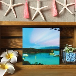 [最後一點] Kabira海灣和月亮和沖繩的魔法小時風景到您的房間 -  [照片面板] 第1張的照片