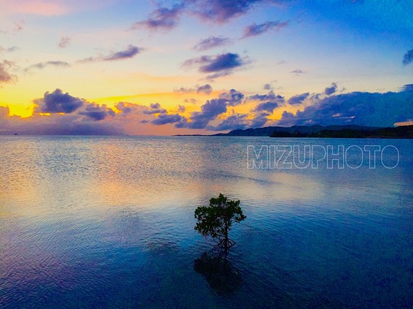 孤独という美 〜沖縄の風景をあなたのお部屋に〜 1枚目の画像