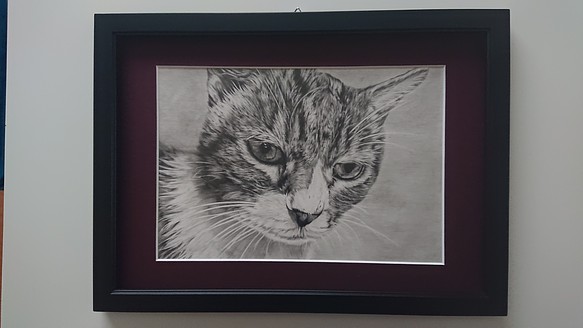 猫 鉛筆画