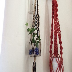 麻紐と毛糸のプラントハンガー 1枚目の画像
