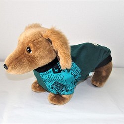 犬服 DMサイズ 「ラグラン袖・エレガンスヨーロッパ」 ラグランTシャツ 袖・エメラルドグリーンに英字 ドッグウェア 1枚目の画像