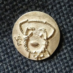【受注製作】テリアのコイン形ボタン（シルバー925製） 1枚目の画像