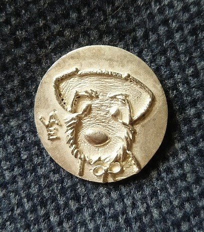 【受注製作】テリアのコイン形ボタン（シルバー925製） 1枚目の画像