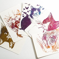 箔押しポストカード_猫シリーズ５枚セット 1枚目の画像