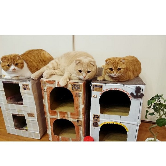 ハンドメイド wood二階建キャットハウス 猫の家