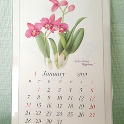 2019  花＊カレンダー 1枚目の画像