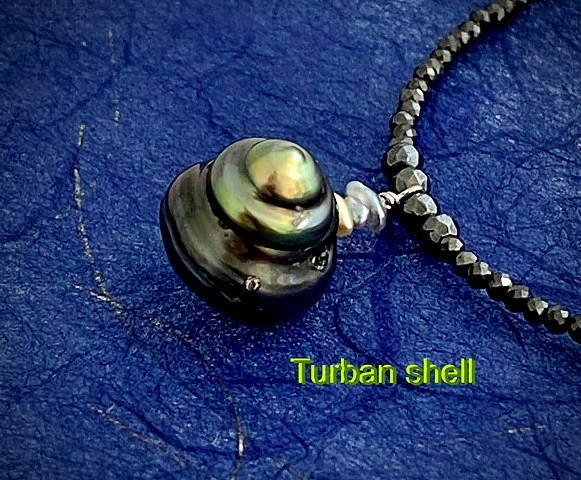 Turban shell（ターバンシェル） 1枚目の画像