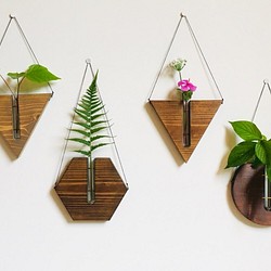 お部屋の壁に植物を♪　壁掛け 一輪挿し　3個セット 1枚目の画像