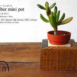 ティンバー ミニ ポット -Timber Mini Pot-　茶×ネイビー 1枚目の画像