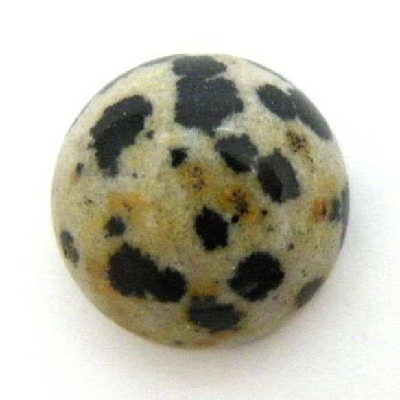 天然石 ルース 卸売　 ダルメシアンジャスパー(Dalmatian Jasper)　ラウンドカボション　14mm 1枚目の画像