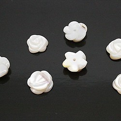 天然石材零件貝殼/珍珠母玫瑰玫瑰凸起部分（3件套）ti-pa-996 第1張的照片
