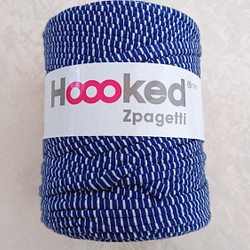 オランダ生まれのユニークで伸縮性のある糸！DMC　ディー エム シーフックドゥ　ズパゲティ『ブルー×ホワイト』 1枚目の画像