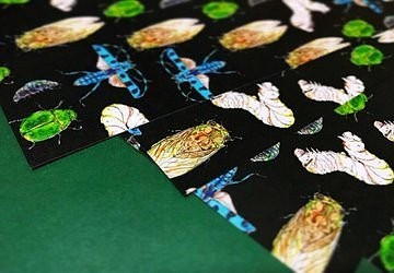 Black chic insects - Wrapping paper 1枚目の画像