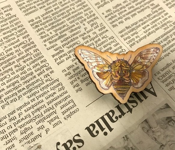Cicada Wood brooch 1枚目の画像