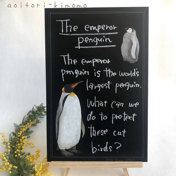 ペンギン図鑑 1枚目の画像