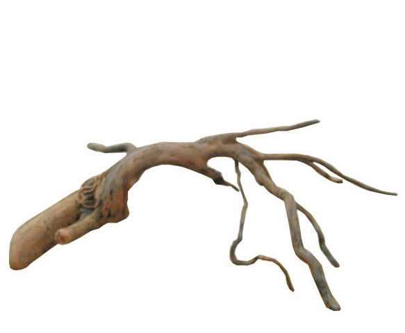 「送料無料」流木根 h351 インテリア店舗ディスプレイ用ガーデニング園芸華材撮影用爬虫類用流木素材 1枚目の画像