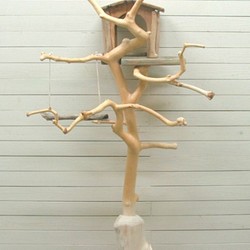 「送料無料」限定オリジナル流木バードジムタワー pb46 オリジナル流木ペット用品 1枚目の画像