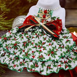 狗衣服/貓衣服聖誕白色冬青連衣裙[OP856] 第1張的照片