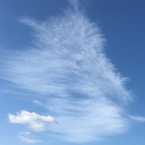 縁起の良い龍雲の写真（２Ｌサイズ） 写真・グラフィック Tokyoみかん