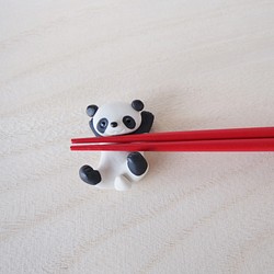 熊貓的筷子束縛 第1張的照片