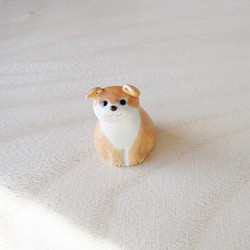 うちの犬-uchinoko 1枚目の画像
