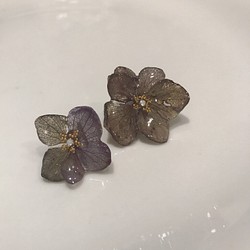 紫陽花ピアス  チタン 1枚目の画像