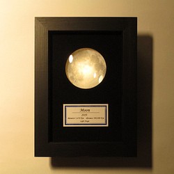 月の標本　ランプ　黒額（黄色光）G003Y 1枚目の画像
