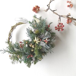 針葉樹の三日月リース～クリスマス～ 1枚目の画像