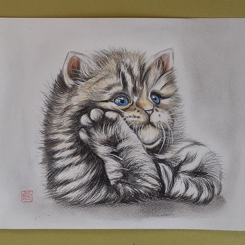 色鉛筆画 考えるお茶目猫 絵画 makochin 通販｜Creema(クリーマ)