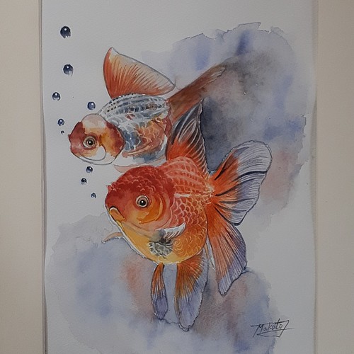 水彩画 金魚 絵画 makochin 通販｜Creema(クリーマ)