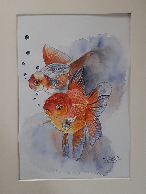 水彩画 金魚 - 美術品