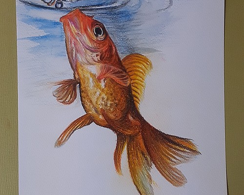 色鉛筆画 金魚 絵画 makochin 通販｜Creema(クリーマ)