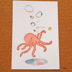 ポストカード４点セット 『蛸』（プリント） 1枚目の画像