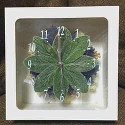 ラムズイヤーの花時計 1枚目の画像