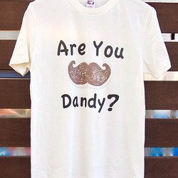 【Tシャツ】DANDY Tシャツ 1枚目の画像