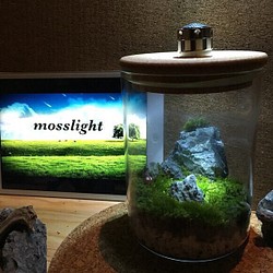 mosslight 草原の安息地 テラリウムライト 1枚目の画像