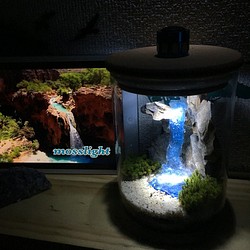 mosslight blue fall  秘境の滝の月灯り  テラリウムインテリアライト 1枚目の画像