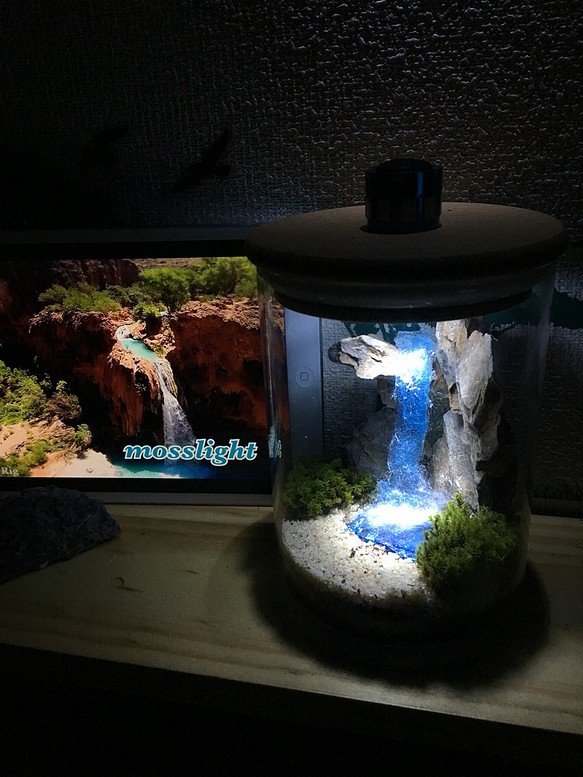 mosslight blue fall  秘境の滝の月灯り  テラリウムインテリアライト 1枚目の画像