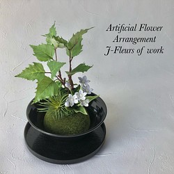 【和モダン】樺の木とブバリアのミニ盆栽アレンジメント 1枚目の画像