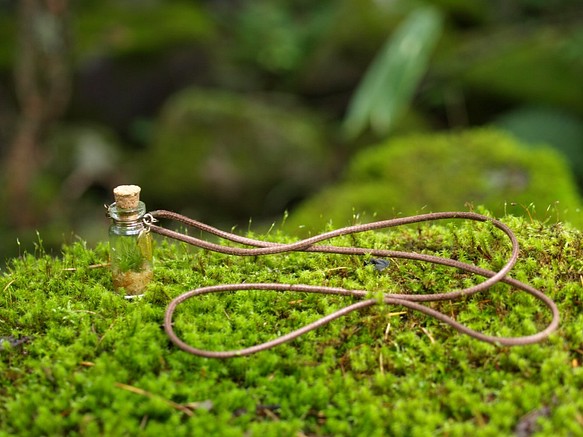 【苔アクセサリー　moss necklace】リメイクサービス 1枚目の画像