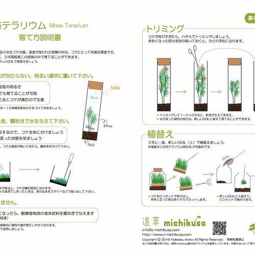 苔テラリウム 小さなコケの森 ヨーグルト瓶 シッポゴケ フラワー リース 道草michikusa 通販 Creema クリーマ ハンドメイド 手作り クラフト作品の販売サイト