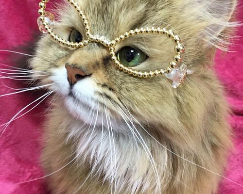 猫用】猫めがね ザーマス ペット服・アクセサリー ラビットクラフト