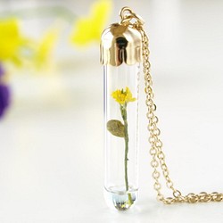 [微型花春季的玻璃管挂件微型油菜花3] 第1張的照片